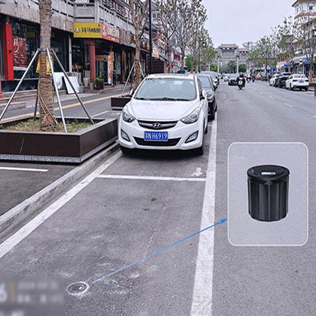 Hệ thống cảm biến địa từ